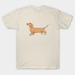 Cute Walking Dachshund Illustration T-Shirt